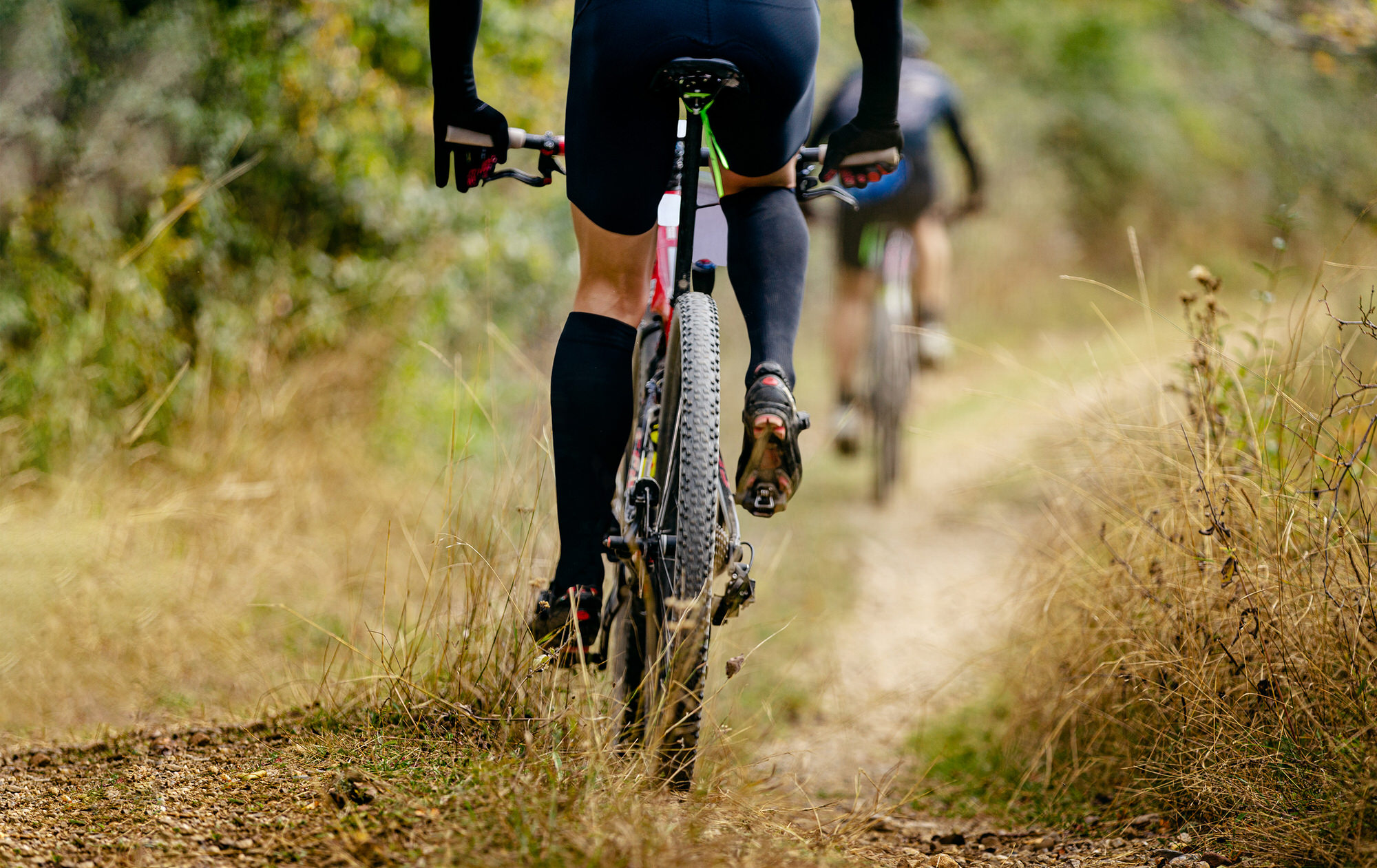 Radteam Tharandter Wald