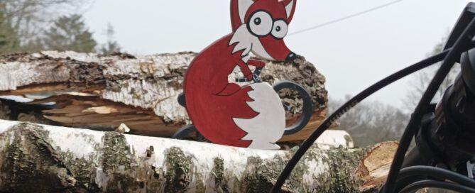 Tharandter Wald Cup am 23.06.2024 Tharandter Wald Cup am 23.06.2024