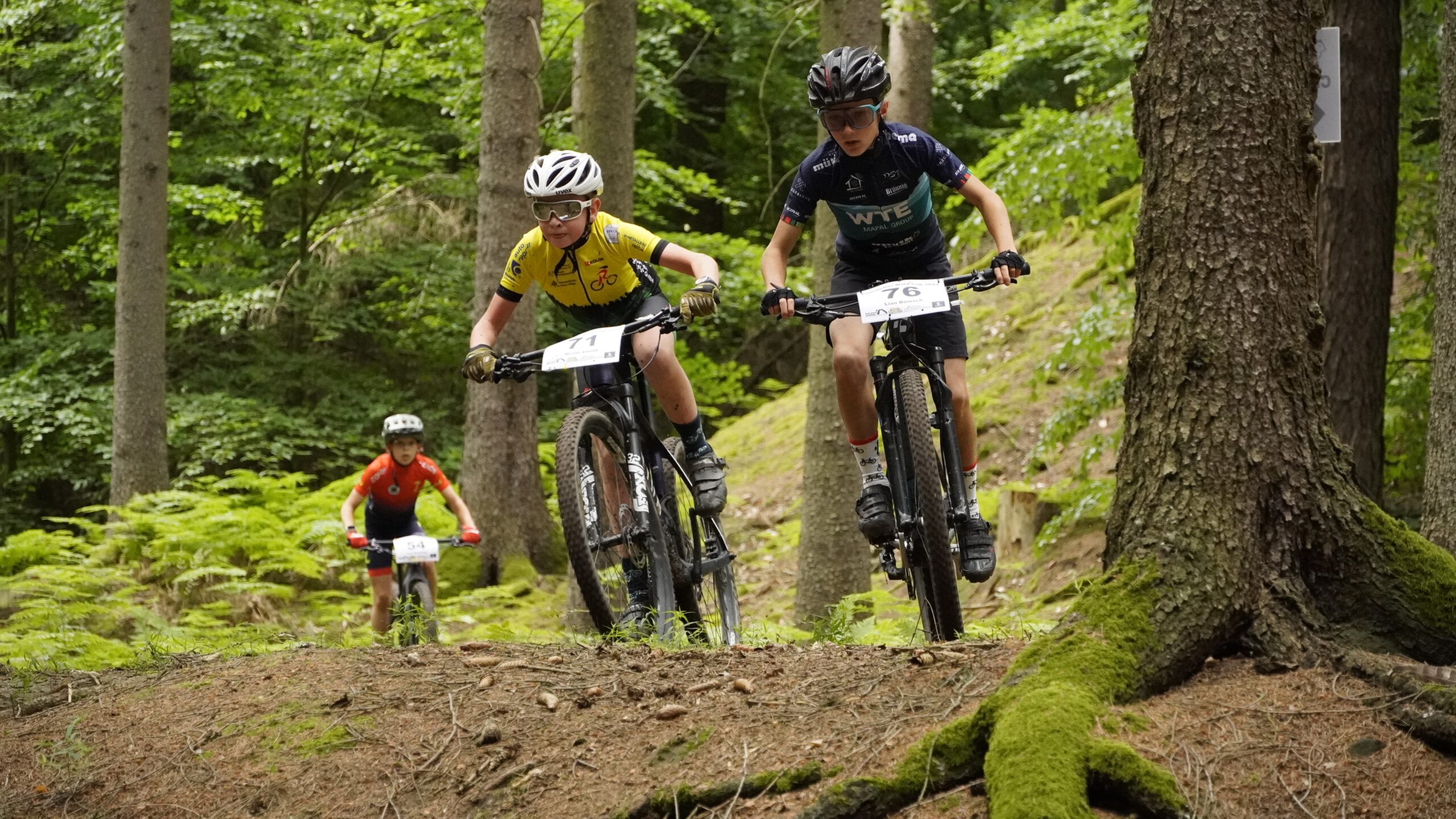 Ankündigung Tharandter Wald Cup und Fuchsjagd Ankündigung Tharandter Wald Cup und Fuchsjagd